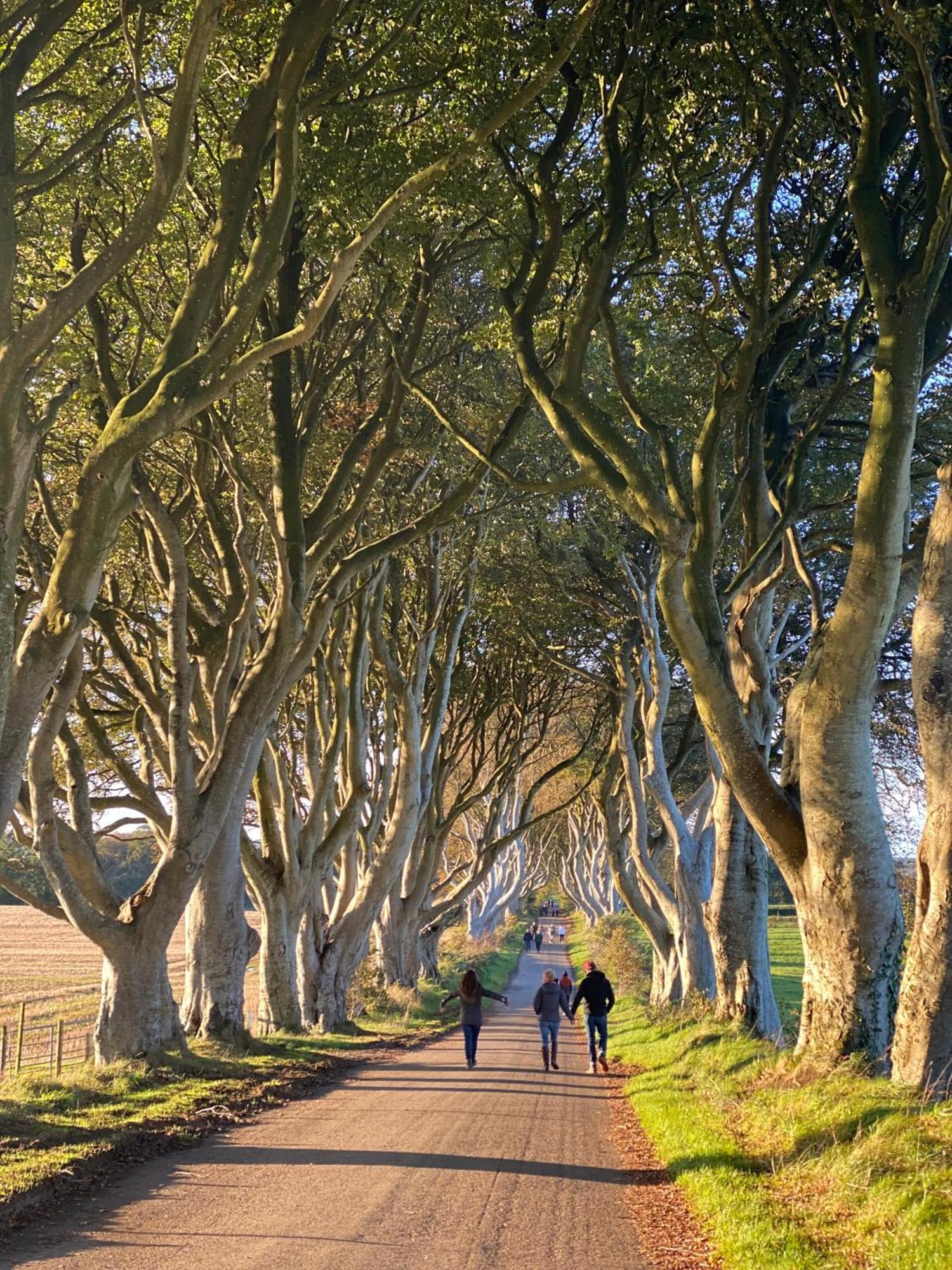 Rose House Villa Glenarm ภายนอก รูปภาพ